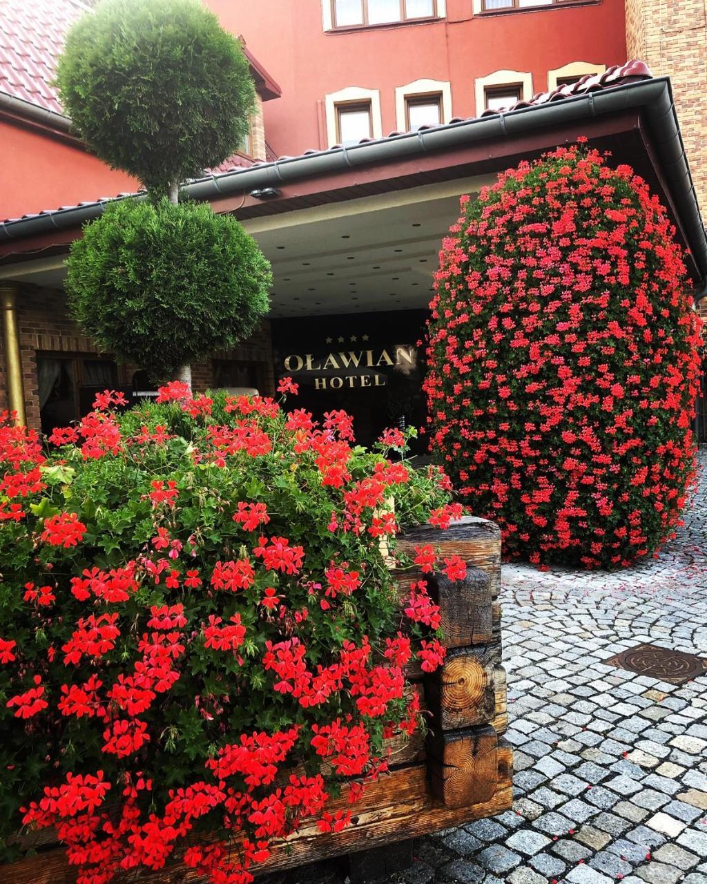 奥拉韦安酒店 Oława 外观 照片
